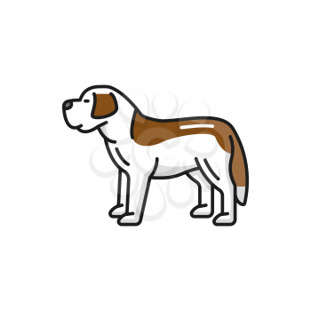 St. Bernard Swiss mountain dog isolated animal pet flat line icon. Vector Bernese sennenhund puppy in white and brown color. Funny character domestic pet friend, Switzerland hunting guard dog