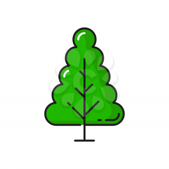 Green tree forest plant isolated thin line icon. Vector botanical spring or summer decorative environment object, landscape and garden architecture element. Greenery, ecology and save nature symbol