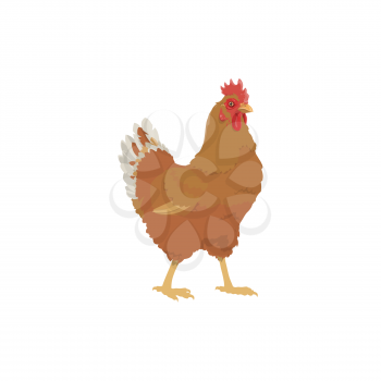 Chicken hen, farm bird icon, agriculture poultry and egg food fowl, vector. Chicken hen meat food product or butcher shop farm bird isolated symbol