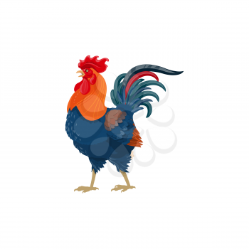 Rooster cock bird, farm agriculture poultry and domestic fowl meat vector icon. Rooster cock or cockerel farm bird and food product or butcher shop isolated symbol