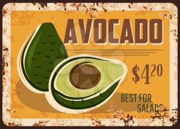 Avocado rusty metal plate, vector fresh fruit, vintage rust tin sign, price tag for market or store. Ripe avocado trolical fruit, healthy nutrition, cooking ingredient for salads and gourmet meals