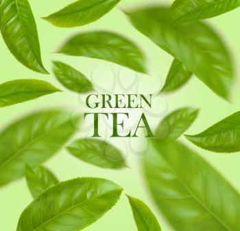 Green tea leaves herbal background, realistic vector. Green tea leaf flying on background for natural herbal drink package for match or mate tea, healthy organic food and skincare cosmetics