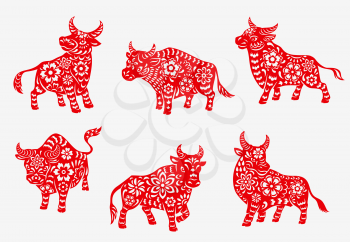 Chinese 2021 New Year zodiac bull or ox animal icons. New Year holiday celebration symbol, decorative bull or cow silhouettes painted with floral ornaments, red flowers and leaves pattern vector