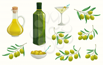 Green isolated olives and oilbottle. Greek, italian olives branch and jug. Vector ripe fruits and extra virgin product. Mediterranean cuisine, stuffed olives in bowl, natural organic food