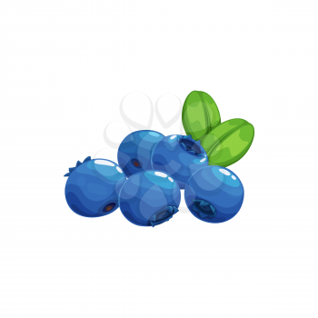 Blueberry fruits icon, blue berries bilberry food, vector. Wild forest or farm garden blueberries fruits ripe harvest for jam, juice or yogurt package food ingredient, natural organic dessert berries