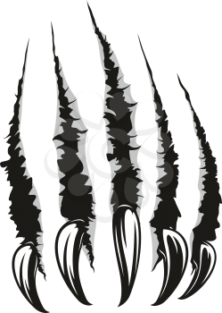 Claws scratches, torn paper trails. Vector wild animal sharp claw slash marks