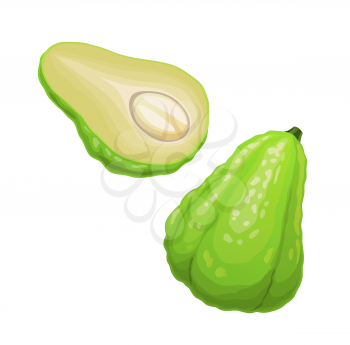 Isolated raw chayote vegetable plant. Full and sliced in half ripe sayote , exotic fruit vector icon. Healthy organic choko or mirliton fruit, vegetarian food tropical vegetable