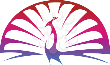 Stylized modern illustration of a proud peacock doing a mating display with spread tail feathers in shades of graduated purple
