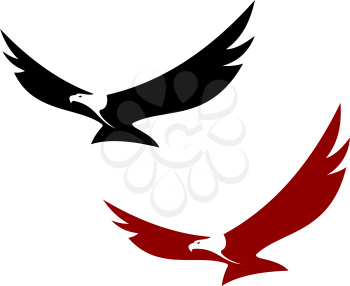 Graceful soaring eagle with outstretched wings in two colour variations, vector illustration