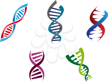 Cartoon illustration of colourful DNA strands with their coiled helical structure of genetic nucleotides , five different variants