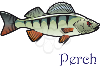 Cartoon freshwater edible perch in side view with the text - Perch - below, for fishing sports design