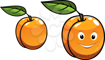 Cute happy fresh juicy orange apricot with a single green leaf, one with a happy smiling face and one plain, cartoon illustration isolated on white