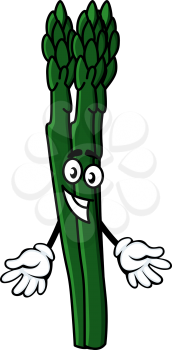 Cartoon character bunch of fresh green healthy asparagus spears with a quizzical expression and hands outstretched, vector illustration isolated on white