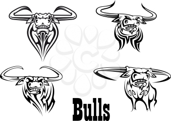 Angry black bull mascots ready for attack, isolated on white background for tattoo or team sports design design
