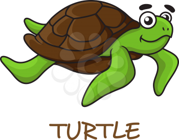 Cute happy green turtle with brown shell in cartoon style isolated on white