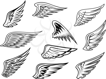 Set of heraldic vector wings in black and white with feather detail for tatto or logo design, isolated on white