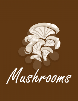 Poster with bunch of oyster mushrooms with text on brown background for healthy nutrition and vegetarian design