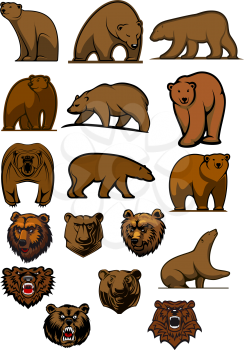 Cartoon brown bears and grizzly in different poses and aggressive bear heads for tattoo, mascot or wildlife design