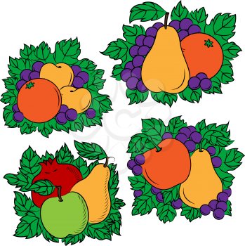 Vintage colorful fruit compositions with green and red apples, yellow pears, orange, apricots, pomegranates and grape with leaves
