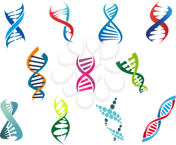 Colorful vector DNA molecules and symbols showing the coiled helix structure on a white background