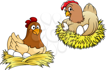 Colored  hens incubating their eggs on nest of straw, for farming or easter concept