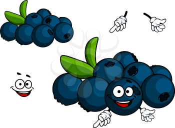 Cartoon Blueberry fruit character with face and hands isolated on white background