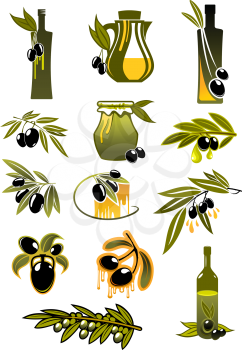 Olive oil design elements showing green leafy branches with ripe black olives fruits and olive oil bottles and pitcher suited for healthy nutrition design