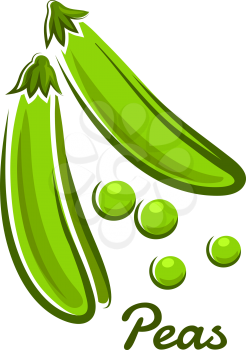 Fresh green peas vegetable with open pods and round beans in cartoon style with text Peas for vegetarian concept design