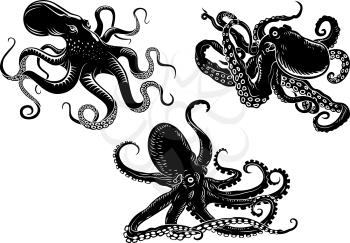Black danger cartoon octopus characters with curling tentacles swimming underwater, isolated on white