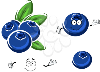 Cartoon fresh and funny blueberry characters  with happy face and little hands isolated on white background