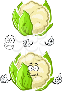 Happy healthy cartoon white cauliflower vegetable character with tightly wrapped green leaves and toothy smile, for vegetarian food, cooking or agriculture design
