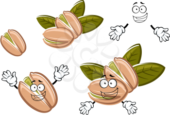 Funny roasted pistachio seeds in shells cartoon characters with green nuts and fresh leaves. For snack, nuts or agriculture design