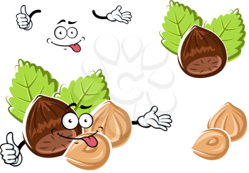 Cartoon hazelnut character with whole and peeled nuts on green leaves isolated on white. For snack or confectionery design