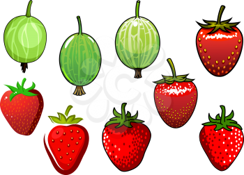 Fresh red strawberry and green gooseberry fruits isolated on white background, in cartoon style