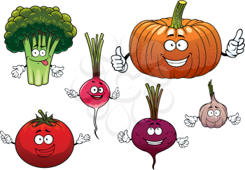Cartoon isolated funny vegetable characters with happy faces and waving arms including beetroot, broccoli, radish, pumpkin, tomato and garlic, isolated on white