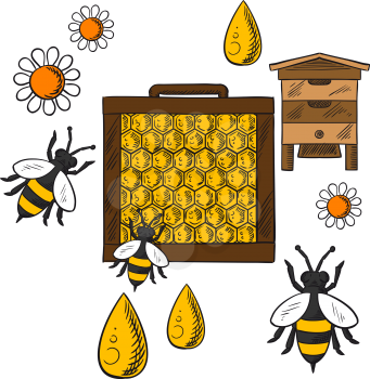 Beekeeping concept in flat style showing beehive, frame with honeycombs and bees flying around flowers and drops of honey on orange background with text Beekeeping