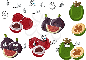 Cartoon fresh fig, exotic lychee and green tropical feijoa fruits isolated on white. Funny fruits characters for vegetarian exotic dessert, tropical cocktail recipe design usage