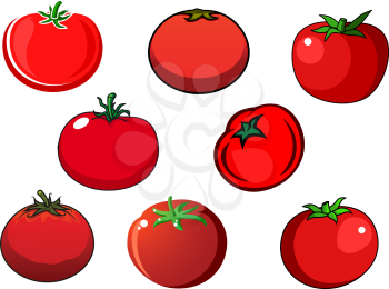 Juicy ripe red tomato vegetables with smooth shiny peel and star shaped green stems isolated on white background. For agriculture and harvest design