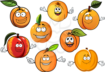 Happy red and orange peaches, nectarines and sweet aroma yellow apricots fruits with green leaves in cartoon style, for agriculture and food design