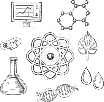 Biology and chemistry sketch icons with fresh leaf surrounded by round icons depicting insects, microscope, computer, water, chemical analysis, atoms for physics and DNA for genetics, vector