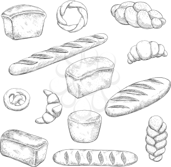 Bakery and pastry sketches with engraving stylized fragrant freshly baked baguette, healthy rye and delicious wheat bread loaves, croissants with chocolate fillings, soft pretzel and braided buns