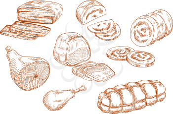 Tasty nutritious roasted beef tenderloin and dry cured ham, chicken leg and baked meatloaf, sausages and wurst. Sketches of meat products for restaurant menu, butcher shop or recipe book design