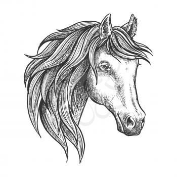 Strongly built and elegant andalusian stallion with thick mane and soft and fluffy ears. Sketched portrait of spanish horse for dressage and show jumping competition symbol or horse breeding theme des