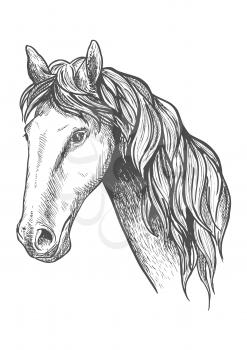 Purebred racehorse graceful profile with sketched head of appaloosa mare with slender neck and long wavy mane. May be use as equestrian sport symbol or horse breeding theme design