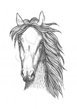 Sketched symbol of riding club or horse breeding and crossbreeding theme design with muscular and powerful thoroughbred stallion