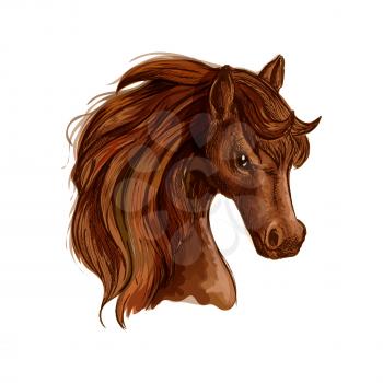 Brown arabian mare horse sketch with chestnut mane and curly forelock. Equestrian sport, horse racing themes or t-shirt print design
