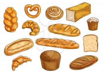 Bread sorts and bakery elements set. Vector pencil sketch of rye bread, ciabatta, wheat bread, muffin, bun, bagel, sliced bread, french baguette, croissant, pretzel