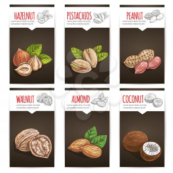 Nuts with titles poster background. Vector sketch icons of plants seeds, hazelnut, pistachios, peanut, walnut, almond, coconut for tag sticker, product label