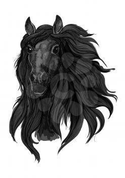 Black arabian racehorse sketch of horse head with dark thick and wavy mane. Equestrian sport, riding club or horse racing design