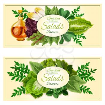 Salad greens and vegetables banners set with green sappy leaves of lettuce, cabbage, spinach, arugula, watercress, iceberg, endive, chard, kale with infused olive oil with chilli